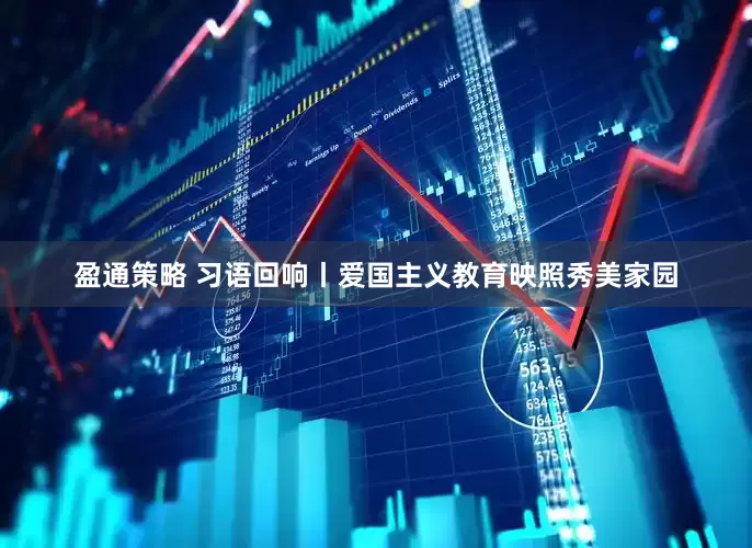 盈通策略 习语回响丨爱国主义教育映照秀美家园