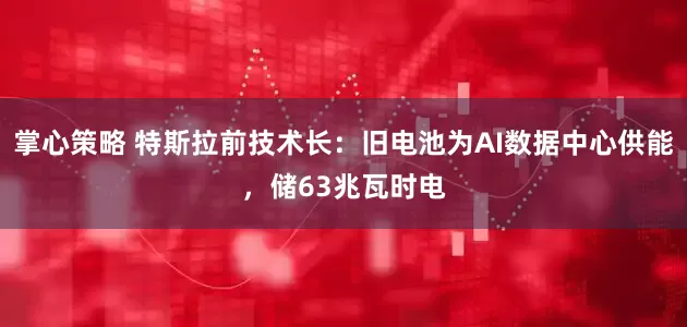 掌心策略 特斯拉前技术长：旧电池为AI数据中心供能，储63兆瓦时电